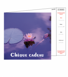 Chèques cadeaux + enveloppe design