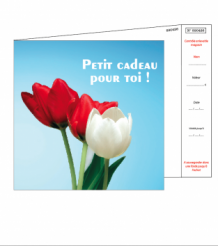images/productimages/small/cheque-cadeau-bon-cadeau-tulipes-bon-d-achat-kadocheque-cadeaucheque-cadeaubon-kadobon-tulpen-waardebon.png