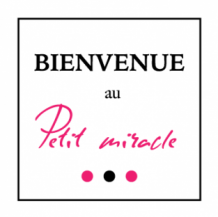 images/productimages/small/etiquettes-de-fete-bienvenue-au-petit-miracle.png