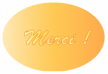 images/productimages/small/etiquettes-de-voeux-merci.png