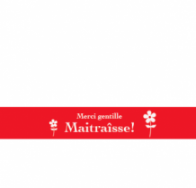 Merci gentille maitraîsse! 25mm x 100m