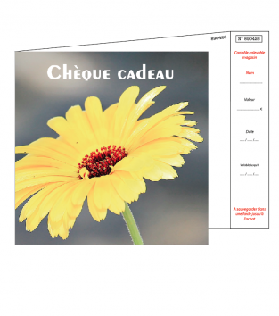 Chèques cadeaux + enveloppe design