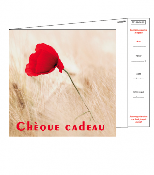 Chèques cadeaux + enveloppe design